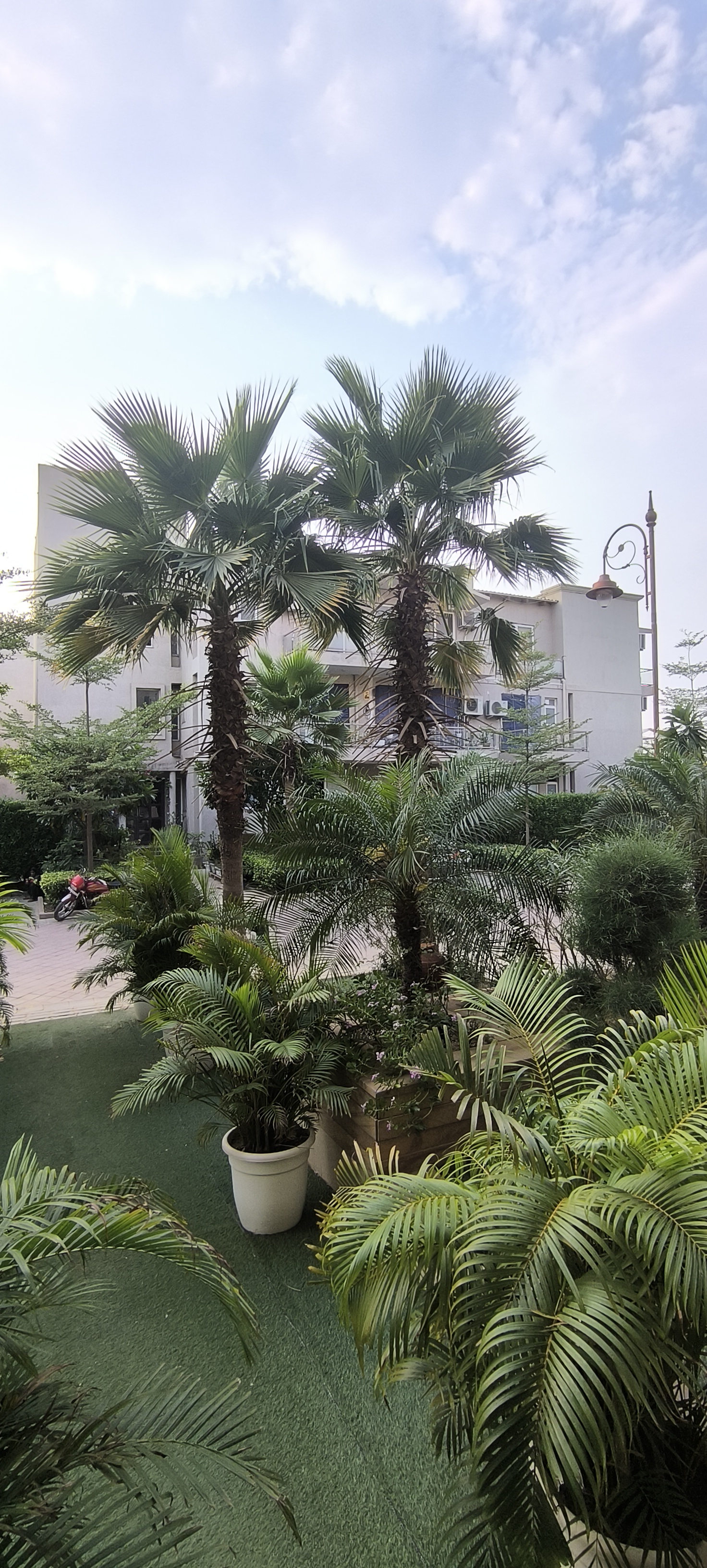 4 BHK + Servant Room,Extra Room Builder Floor For Sale in BPTP Amstoria