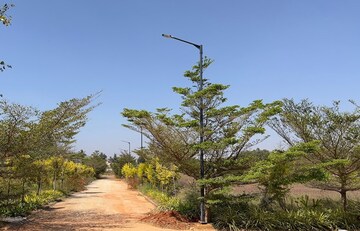 Plot For Sale in Banandur