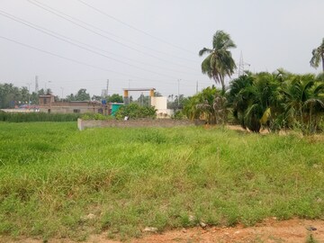 Plot For Sale in Shyamnagar