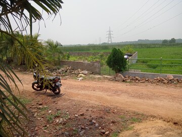 Plot Area in  Plot at Shyamnagar – for Sale