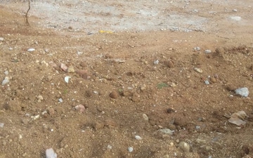Plot For Sale in Yapral