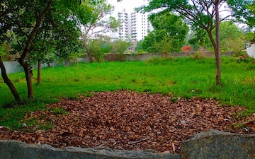Plot For Sale in Shivakote