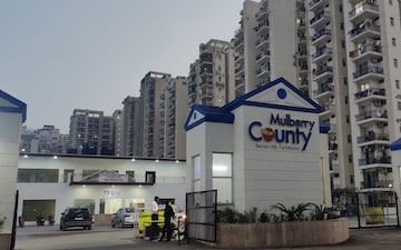 2 BHK Apartment For Sale in MGH Mulberry County, Sector 70