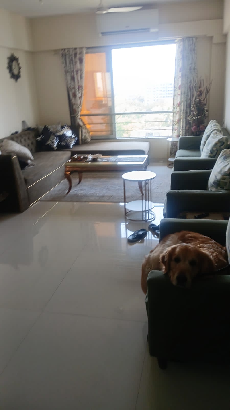 3 BHK + Servant Room Apartment For Rent in Sahaj Sorrento