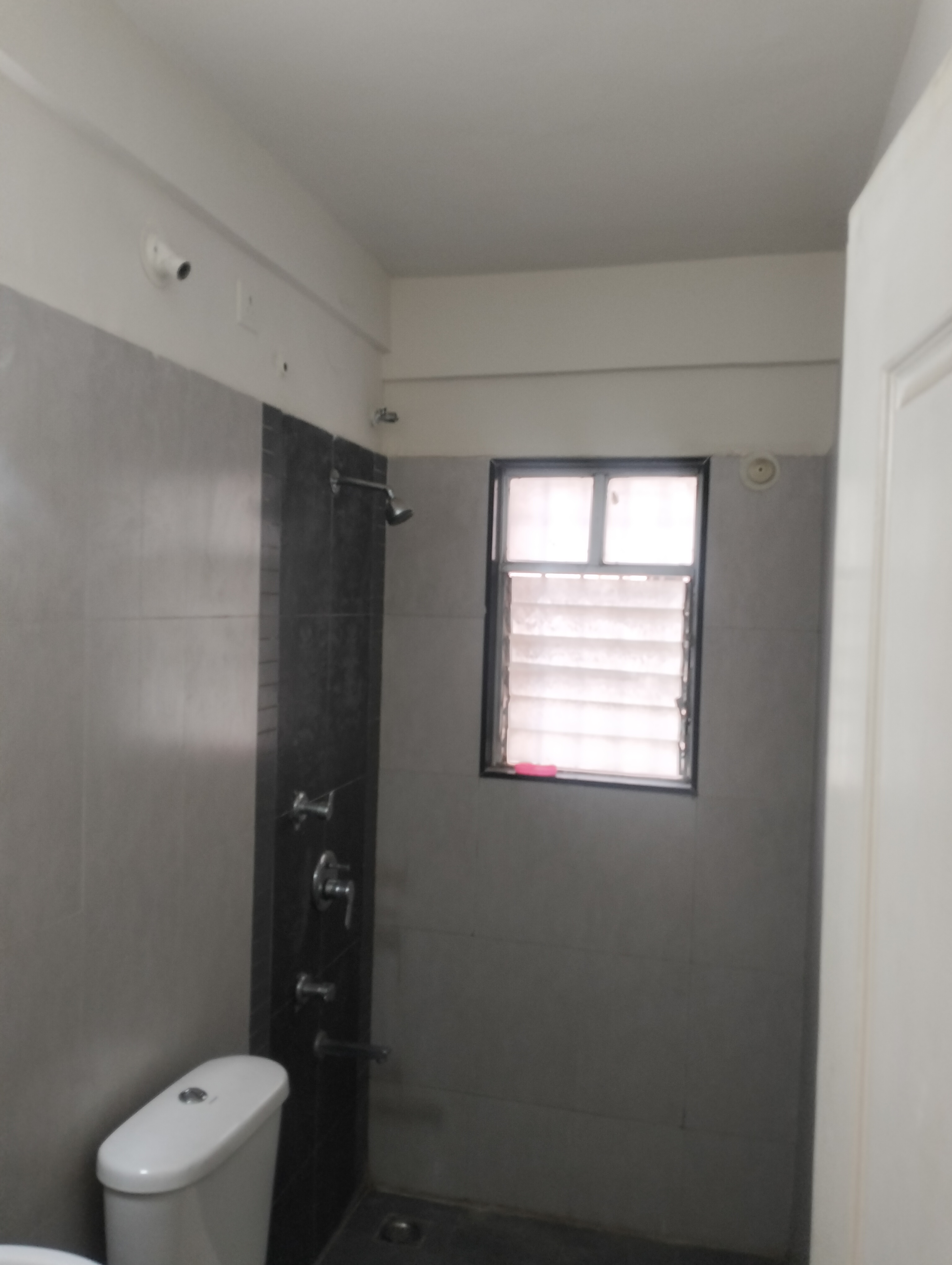 2 BHK Apartment For Rent in Rama Celestial City