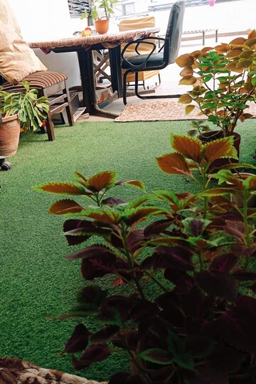 1 BHK Builder Floor – Garden View at Greater Kailash I - for Rent