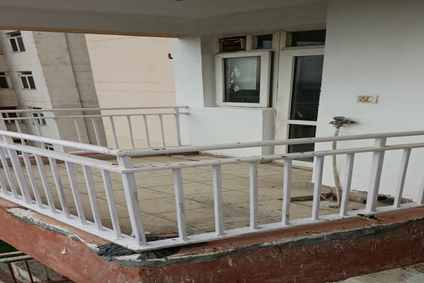 2.5 BHK + Study Room Apartment For Rent in KLJ Greens