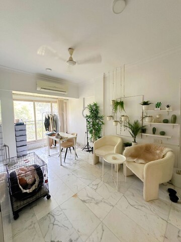3 BHK Apartment For Rent in Khar West