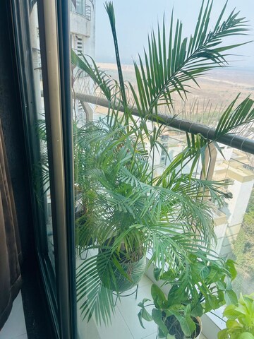 Balcony in 2 BHK Apartment at Cosmopolis Tower, Andheri West – for Rent
