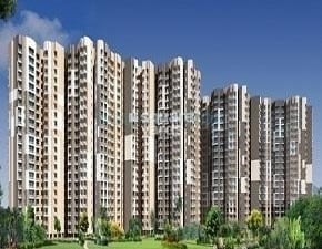 2.5 BHK Apartment For Rent in Exotica Dreamville, Sector 16c Greater Noida