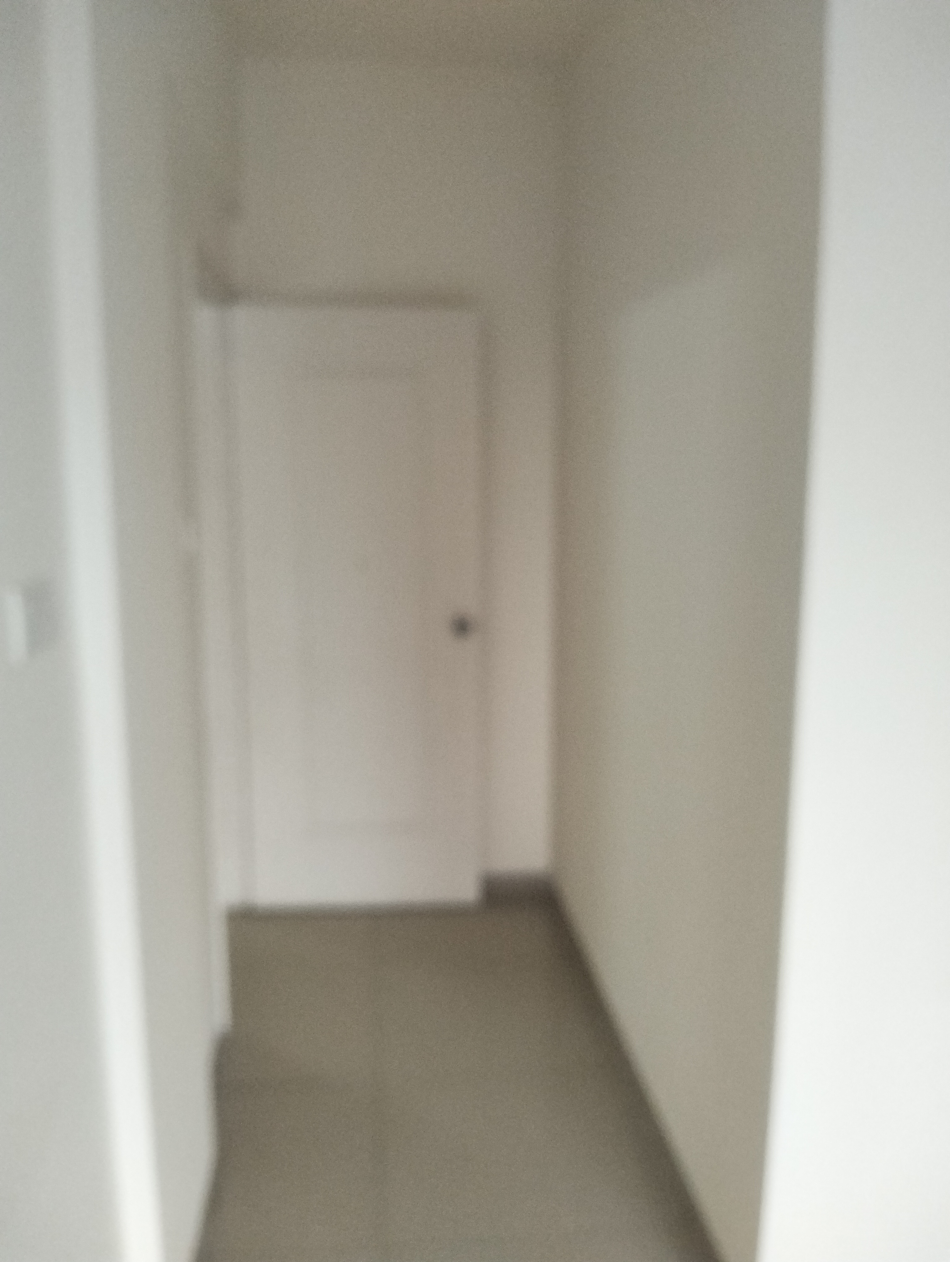 3 BHK 1310 Sq.Ft. Apartment in Rama Celestial City