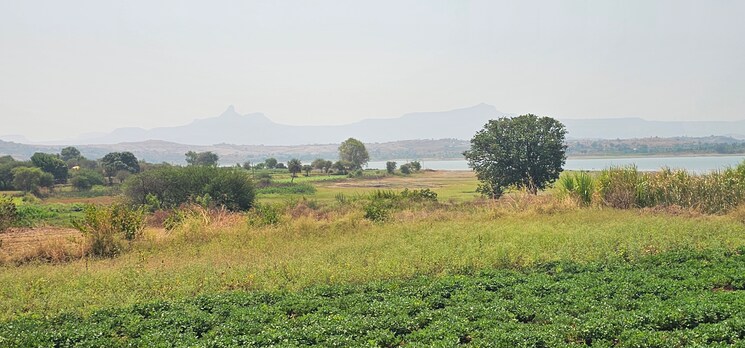 undefined, igatpuri  2 Acre Plot In Igatpuri Nashik 8633372