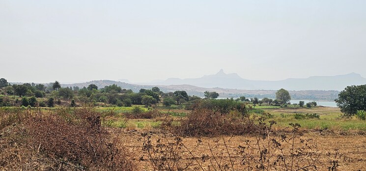 undefined, igatpuri  2 Acre Plot In Igatpuri Nashik 8633372