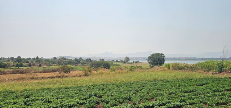 undefined, igatpuri  2 Acre Plot In Igatpuri Nashik 8633372