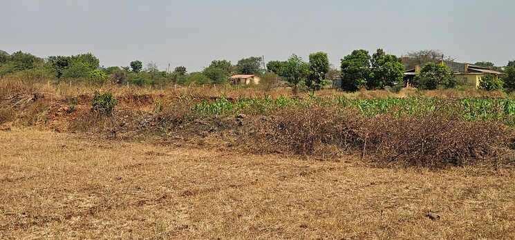 undefined, igatpuri  2 Acre Plot In Igatpuri Nashik 8633372