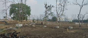 Plot Area in  Plot at Panjari Farm – for Sale