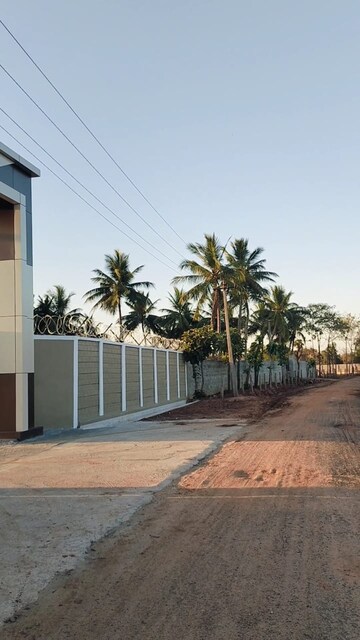  Plot – Exterior View View at Kk Nagar - for Sale