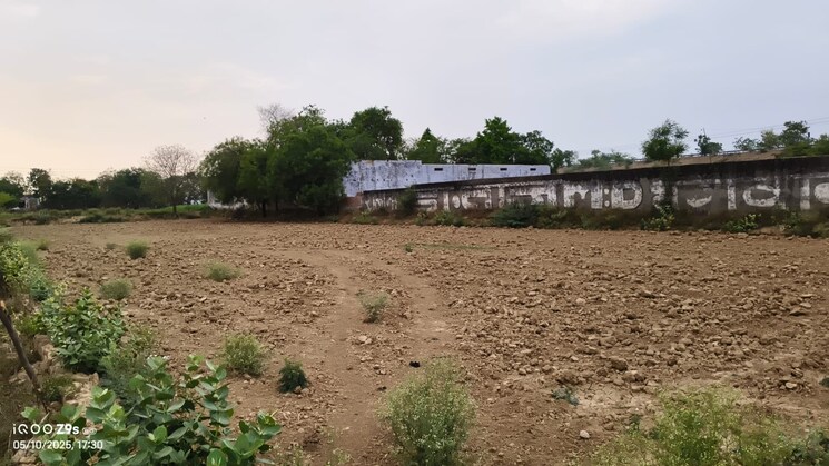 undefined, nai ki sarai Commercial Land 29500 Sq.Ft. In Nai Ki Sarai Agra 8633562