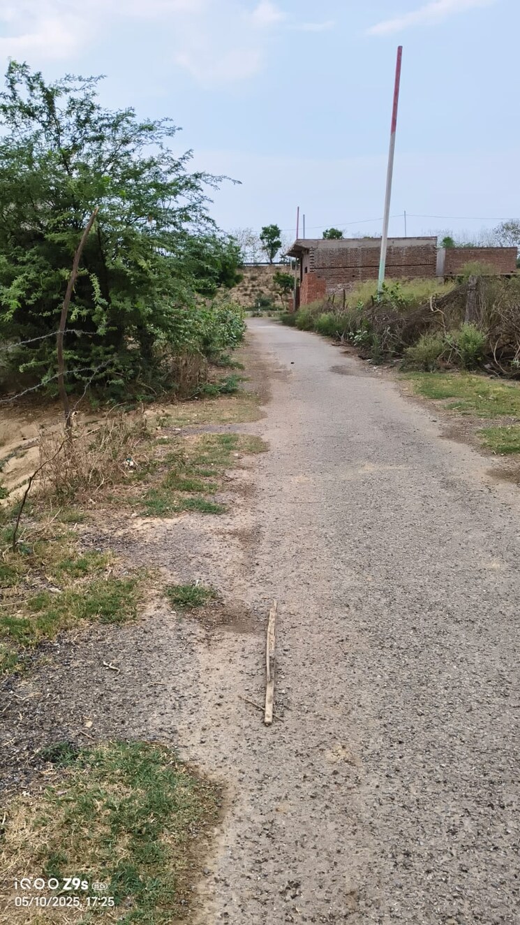 undefined, nai ki sarai Commercial Land 29500 Sq.Ft. In Nai Ki Sarai Agra 8633562