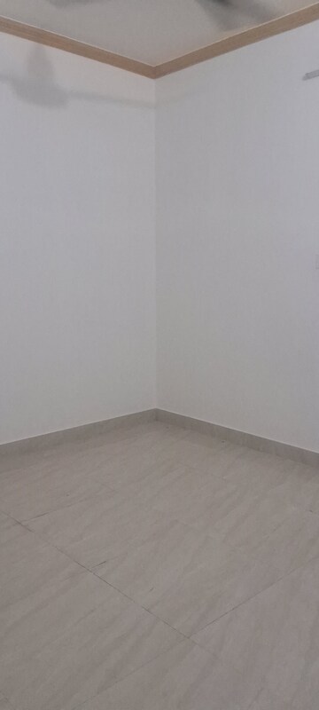 2 BHK Apartment For Rent in Sarita Vihar