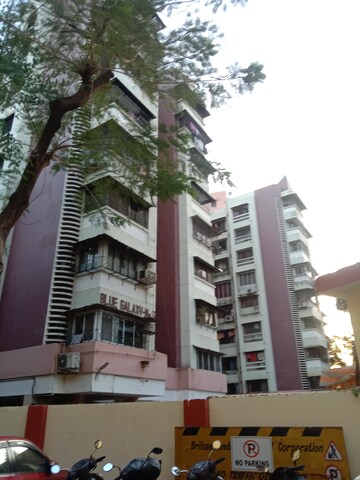2 BHK Apartment For Rent in Blue Galaxy, Dahisar East