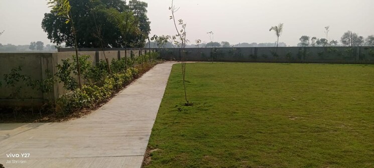 Garden, sector 84  250 Sq.Yd. Plot In Sector 84 Faridabad 8634142