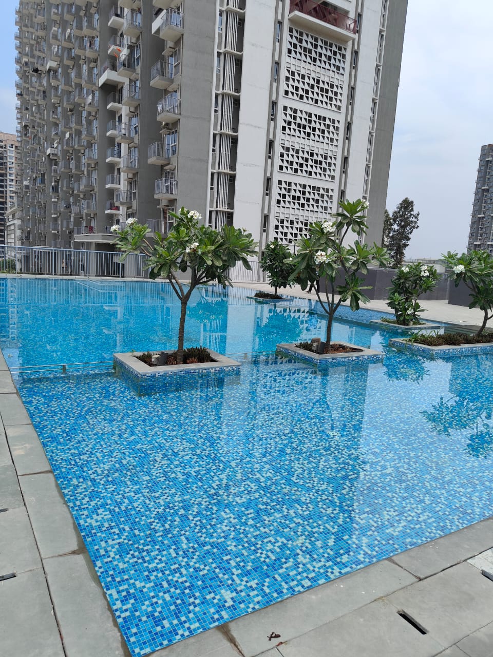 1 BHK 462 Sq.Ft. Apartment in Godrej Hillside 2