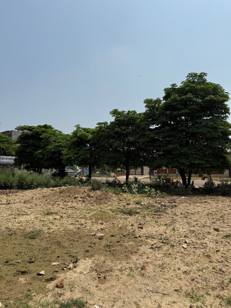 undefined, sector 88  500 Sq.Yd. Plot In Sector 88 Faridabad 8632797