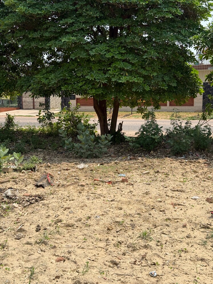 undefined, sector 88  500 Sq.Yd. Plot In Sector 88 Faridabad 8632797