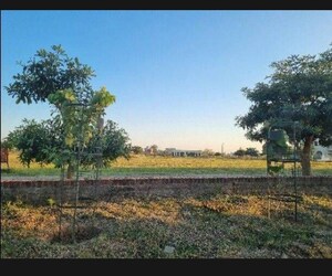  Plot For Sale in Altus Prime, North Mullanpur
