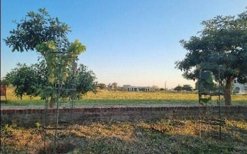Plot For Sale in Altus Prime, North Mullanpur