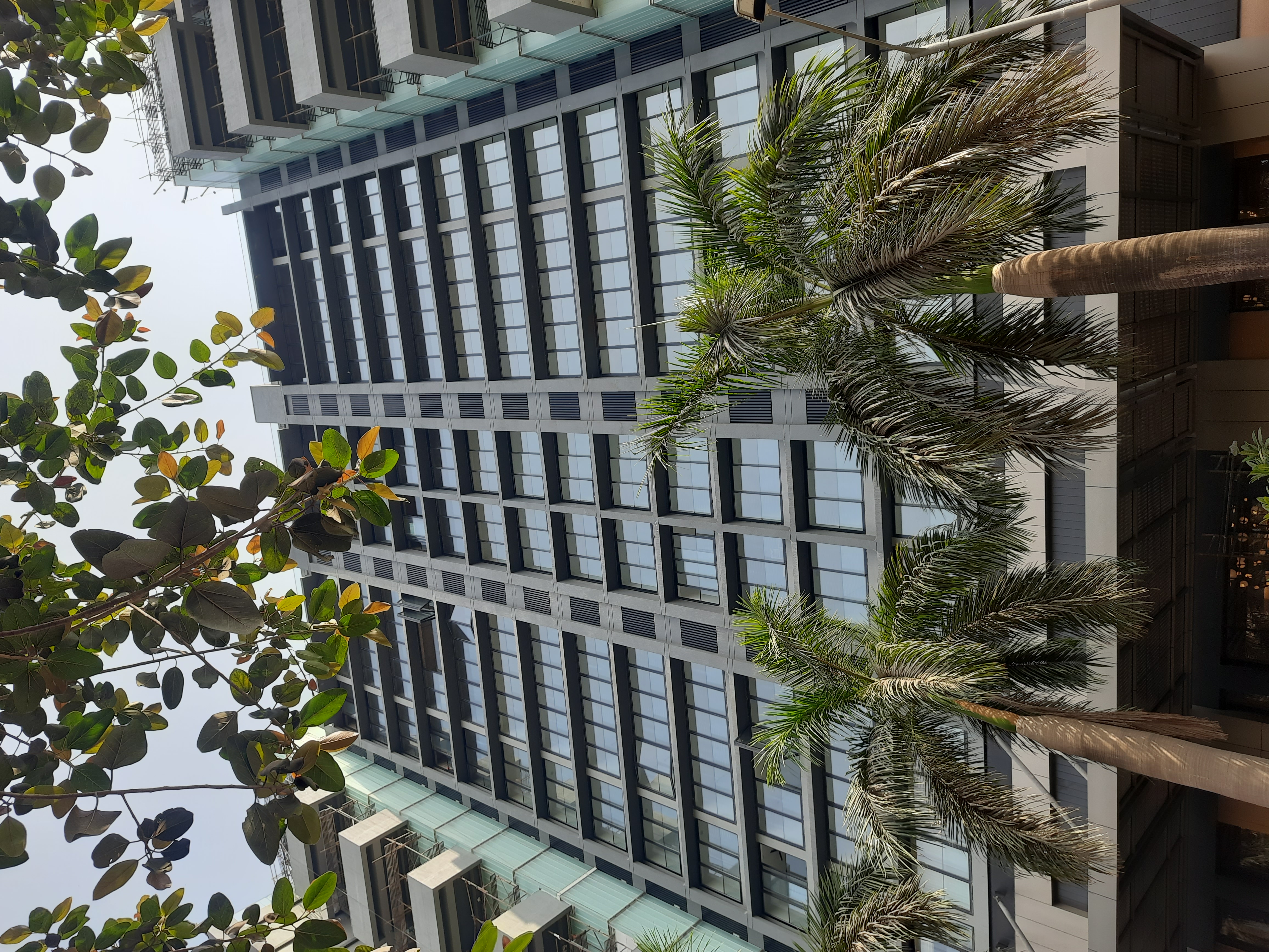 4 BHK + Servant Room Apartment For Rent in Brand Newbuilding