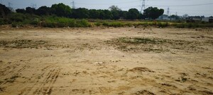 Plot Area in  Land at Raghunathpur – for Sale