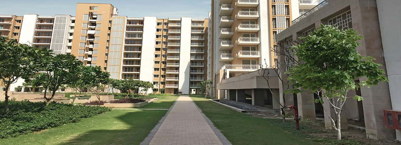 3 BHK + Pooja Room Apartment For Sale in Puri Pratham
