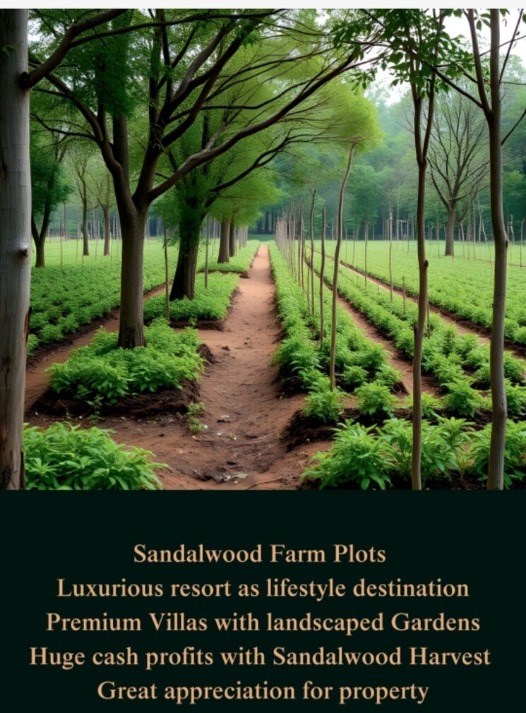 Listing Cover Image