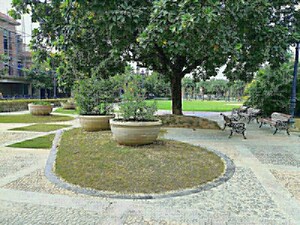  Plot For Sale in Omaxe Metro City, Kalli Paschim