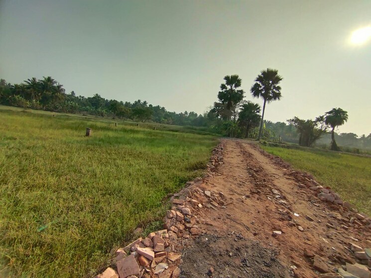 undefined, joka  5040 Sq.Ft. Plot In Joka Kolkata 8636057