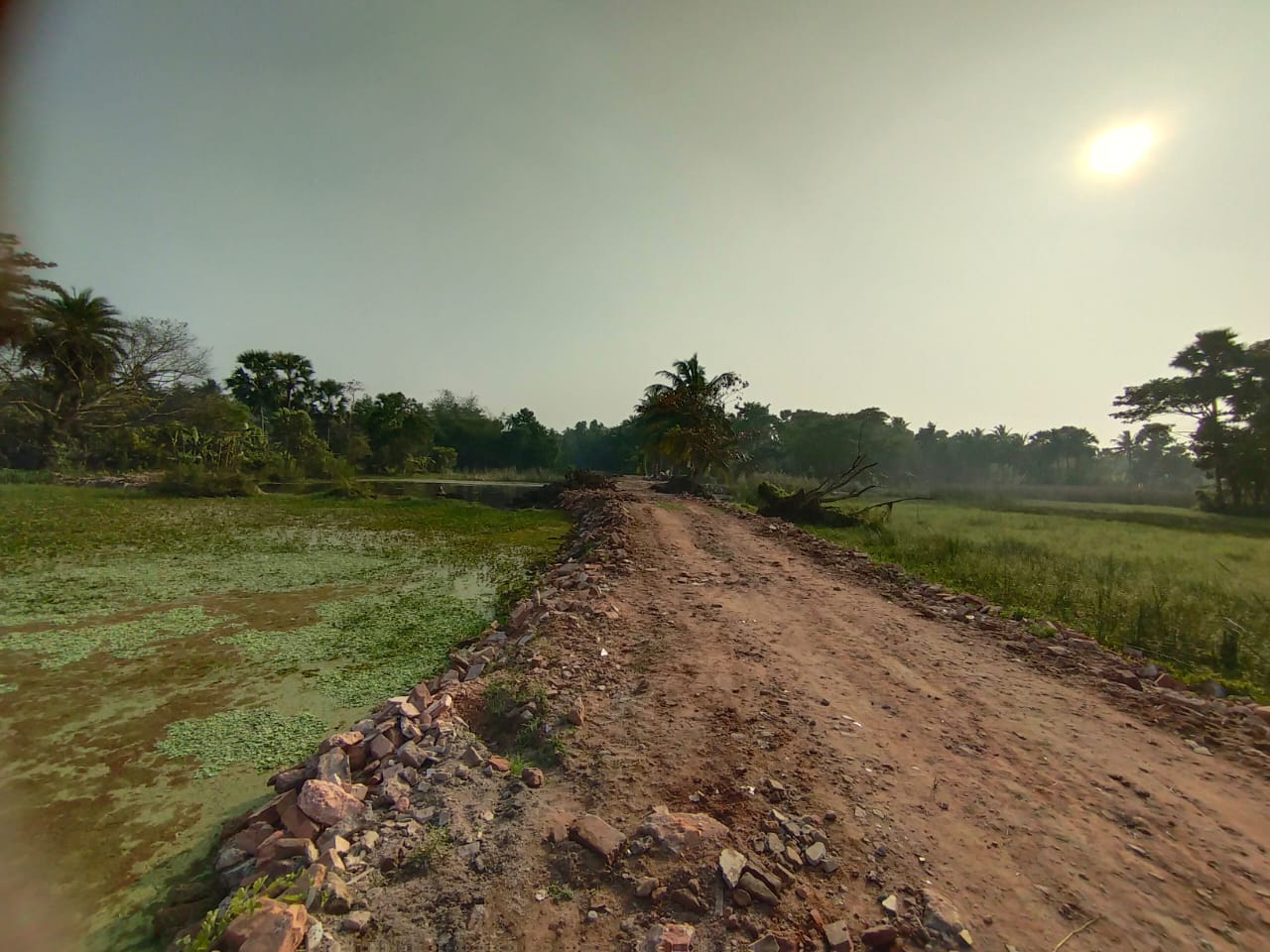 Plot For Sale in Suryadoy Land Builder