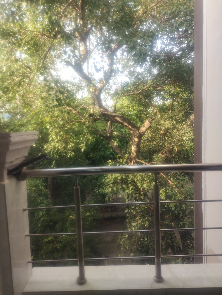 Garden, lajpat nagar 4 2 Bedroom 900 Sq.Ft. Builder Floor In Lajpat Nagar 4 Delhi 8636286