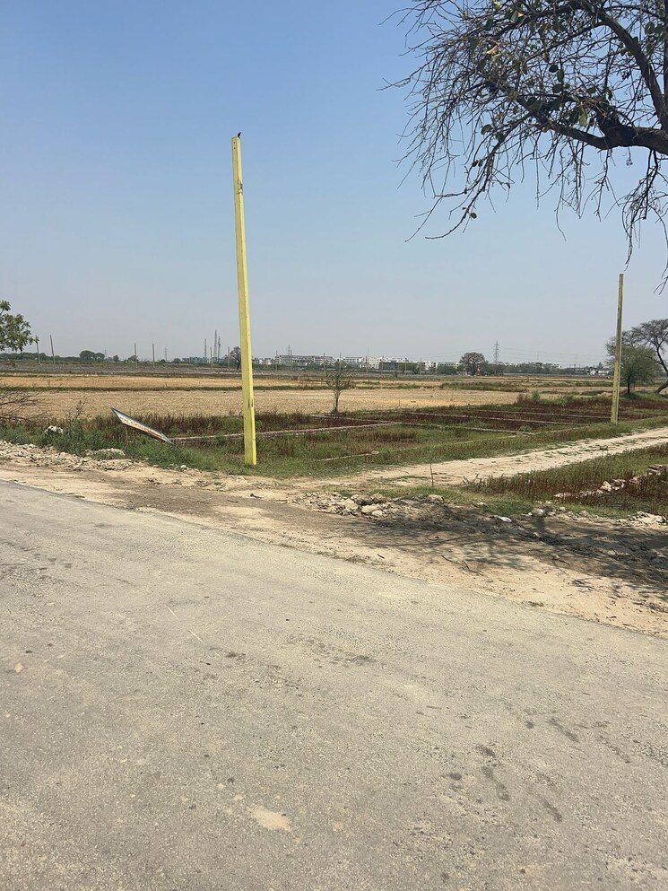 undefined, bamnikhera  900 Sq.Yd. Plot In Bamnikhera Palwal 8636268