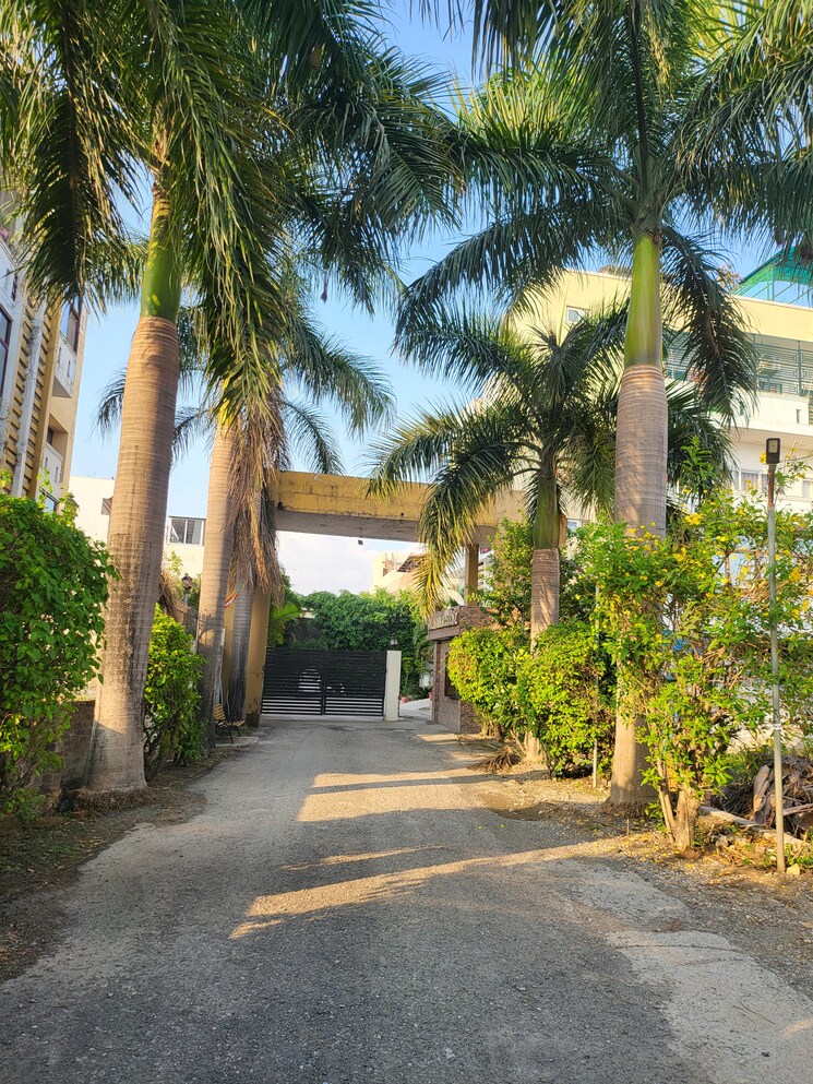 Garden, haridwar byepass  118 Sq.Yd. Plot In Haridwar Byepass Dehradun 8636609