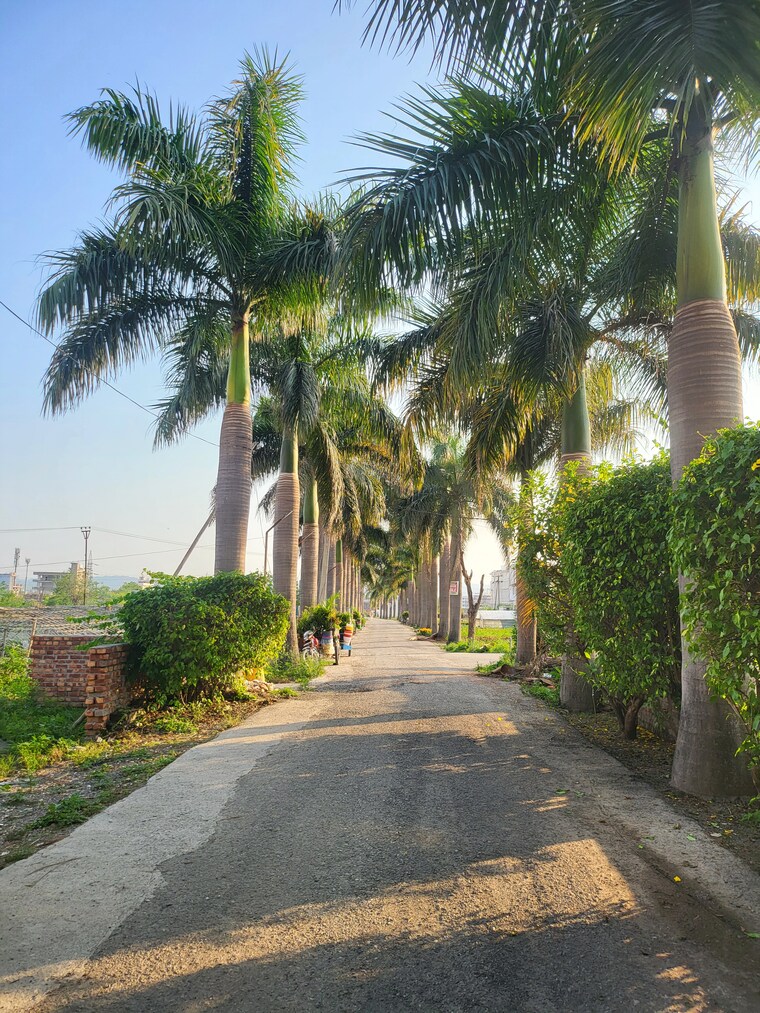 Garden, haridwar byepass  118 Sq.Yd. Plot In Haridwar Byepass Dehradun 8636609