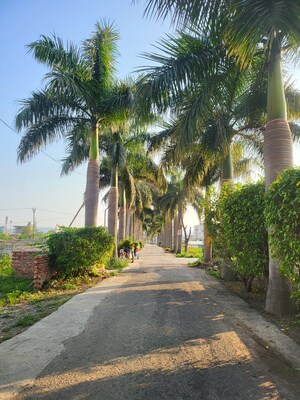  Plot – Garden View at Haridwar Byepass - for Sale