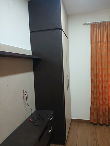 3.5 BHK Builder Floor For Rent in Sector 13