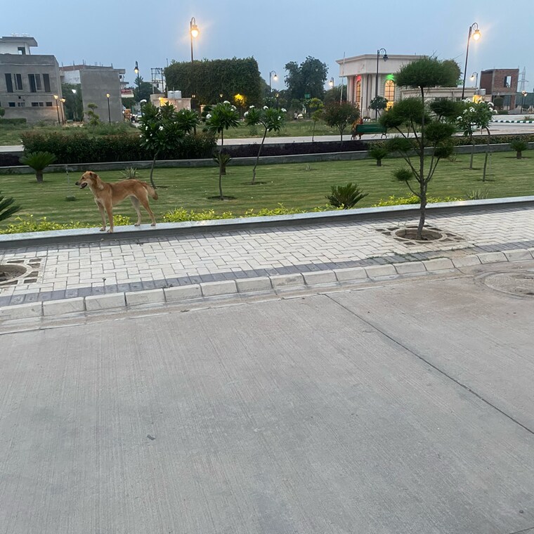 Balcony, vasant vihar  117 Sq.Yd. Plot In Vasant Vihar Karnal 8636727