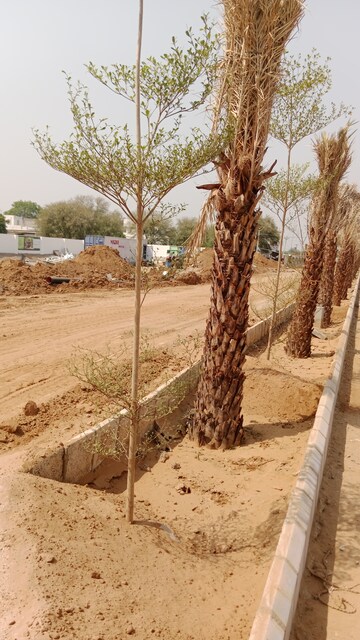 Plot Area in  Plot at Chokhi Dhani – for Sale