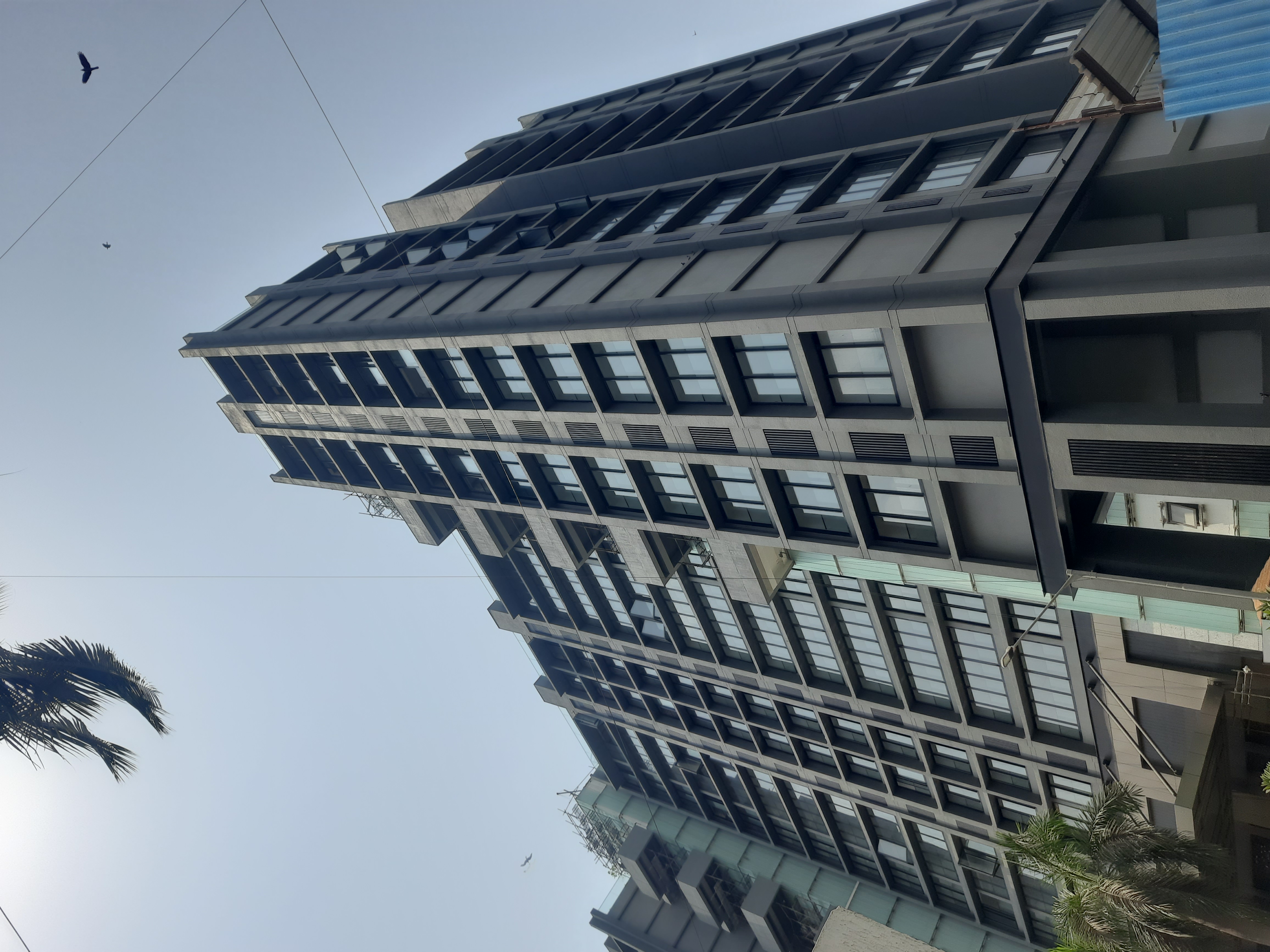 3 BHK + Servant Room Apartment For Rent in Brand Newbuilding