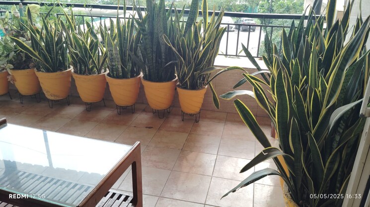 Balcony, eros-wembley-estate 3 Bedroom 1376 Sq.Ft. Apartment In Sector 50 Gurgaon 8637400