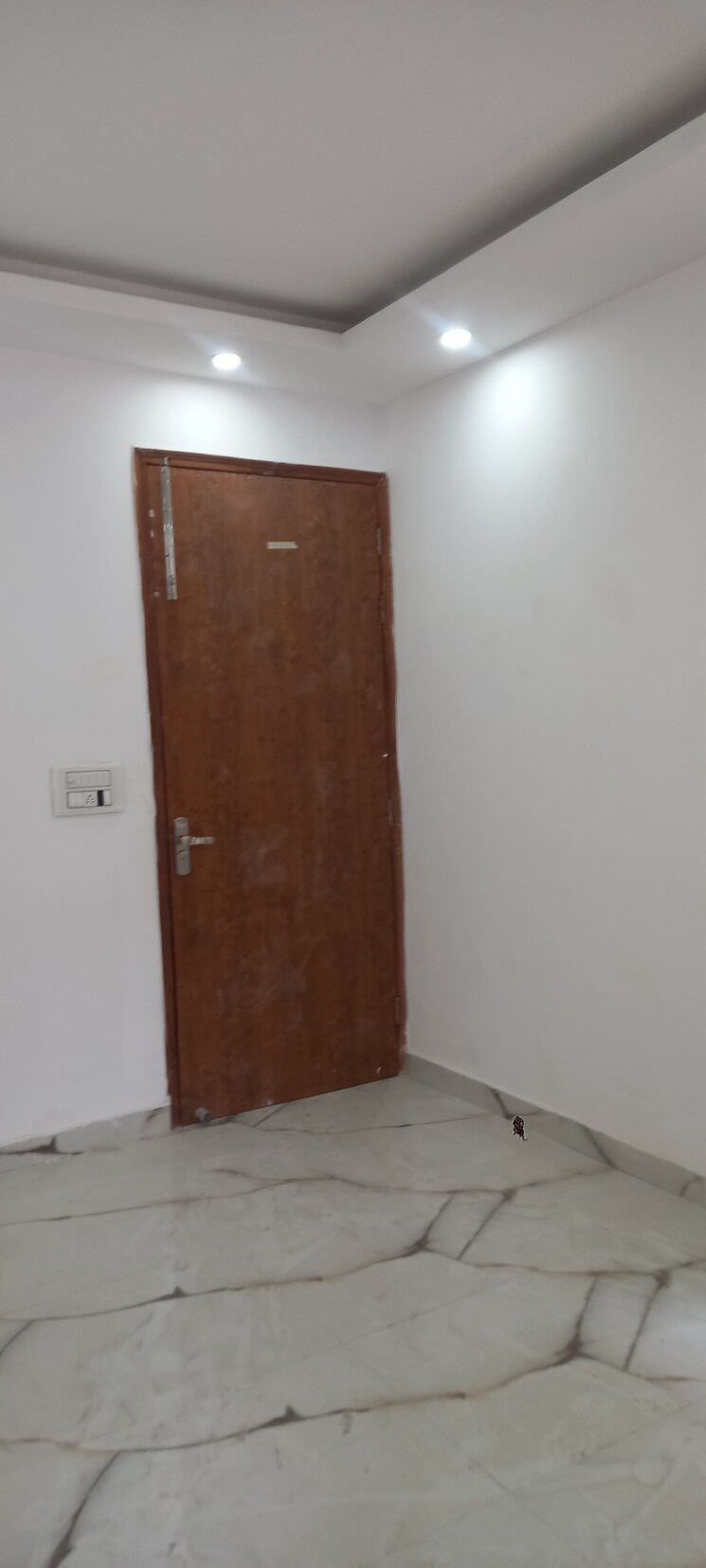 undefined, south delhi 1 RK 350 Sq.Ft. Independent House In South Delhi Delhi 8637658