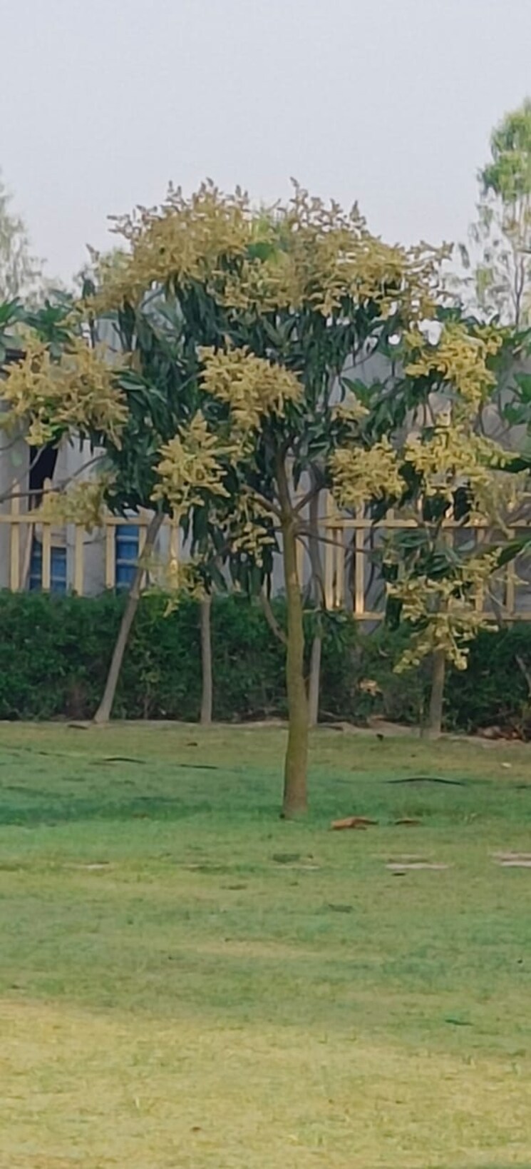 Garden, swaraaj-the-villagio  5000 Sq.Yd. Plot In Mohanlalganj Lucknow 8637700